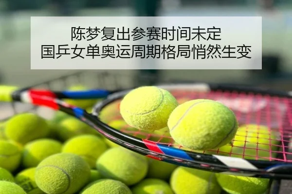 陈梦复出参赛时间未定 国乒女单奥运周期格局悄然生变